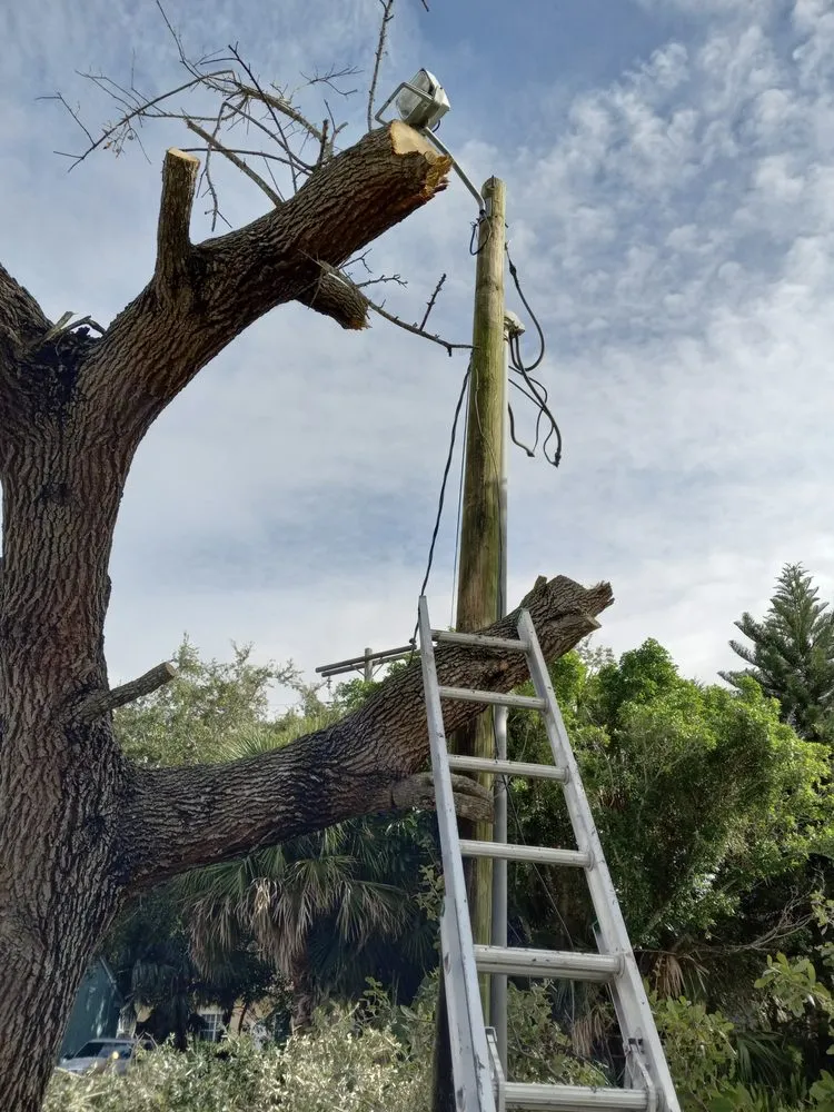 Custom garden landscaping experts serving Stuart, FL - All Terrain Home Securing