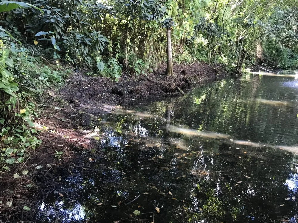 Affordable yard maintenance for homes across Stuart, FL - All Terrain Home Securing