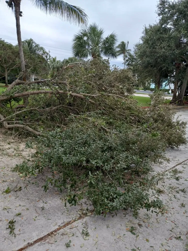 Trusted landscape design in Stuart, FL by All Terrain Home Securing