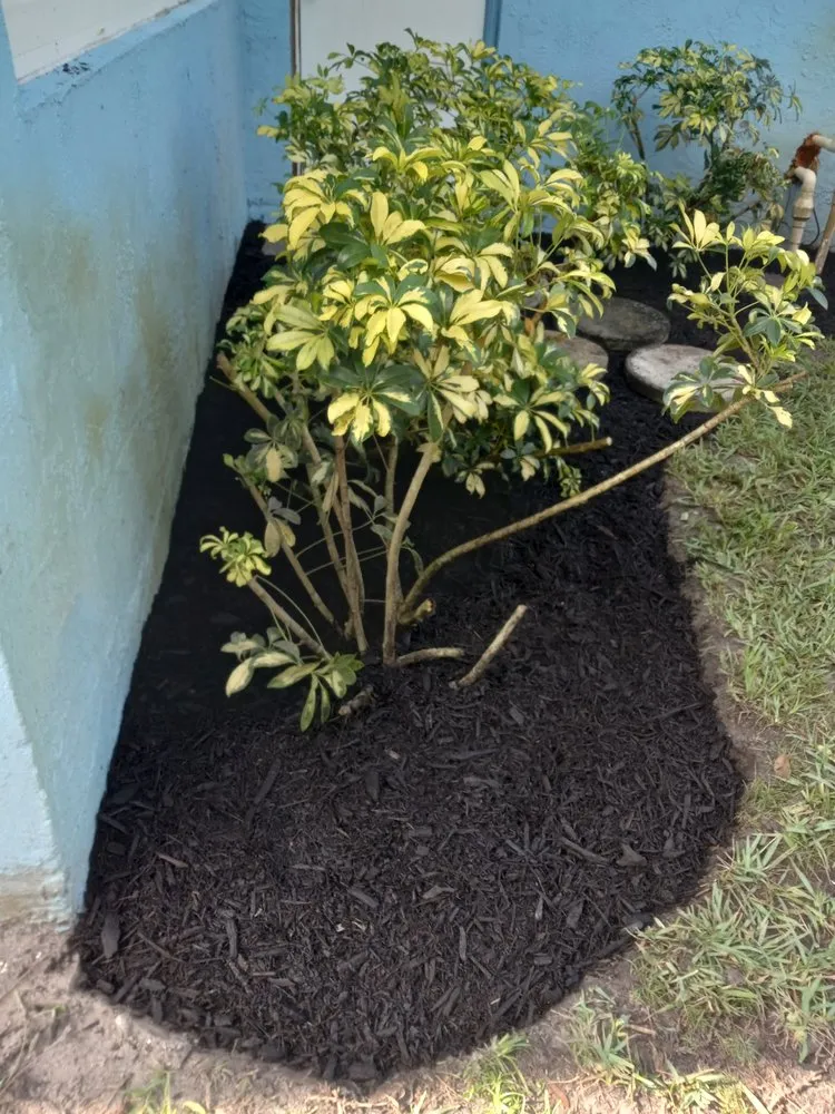 Trusted garden landscaping for beautiful yards across Stuart, FL - All Terrain Home Securing