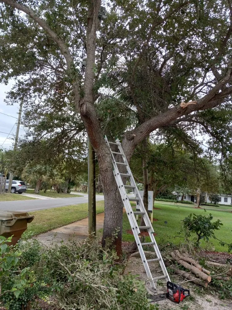 Custom residential landscaping for homes across Stuart, FL - All Terrain Home Securing