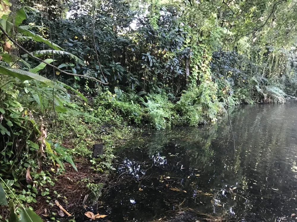 Reliable yard cleanup service experts serving Stuart, FL - All Terrain Home Securing