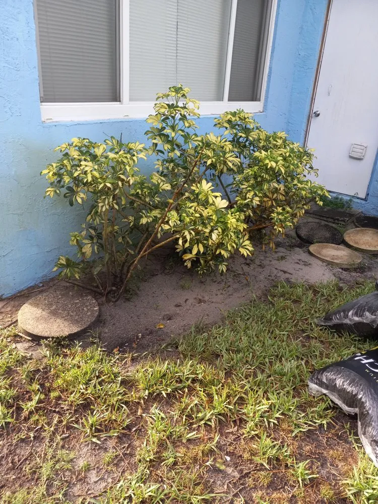 Professional lawn mowing service in Stuart, FL - All Terrain Home Securing