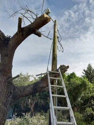 All Terrain Home Securing Logo