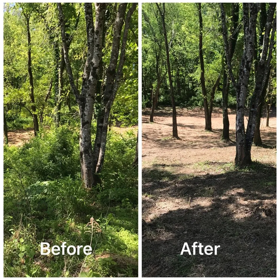 Affordable lawn mowing service in Spring Hill, TN - All Terrain Land Clearing and Brush Control