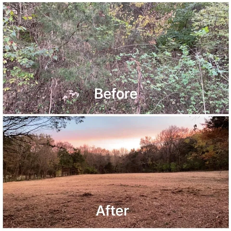 Affordable garden landscaping with custom design across Spring Hill, TN - All Terrain Land Clearing and Brush Control