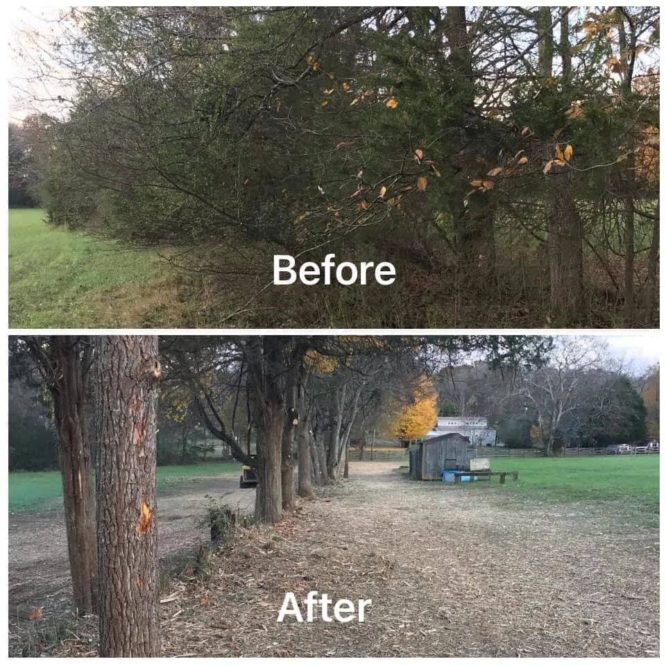 Affordable outdoor landscaping for year-round maintenance across Spring Hill, TN - All Terrain Land Clearing and Brush Control