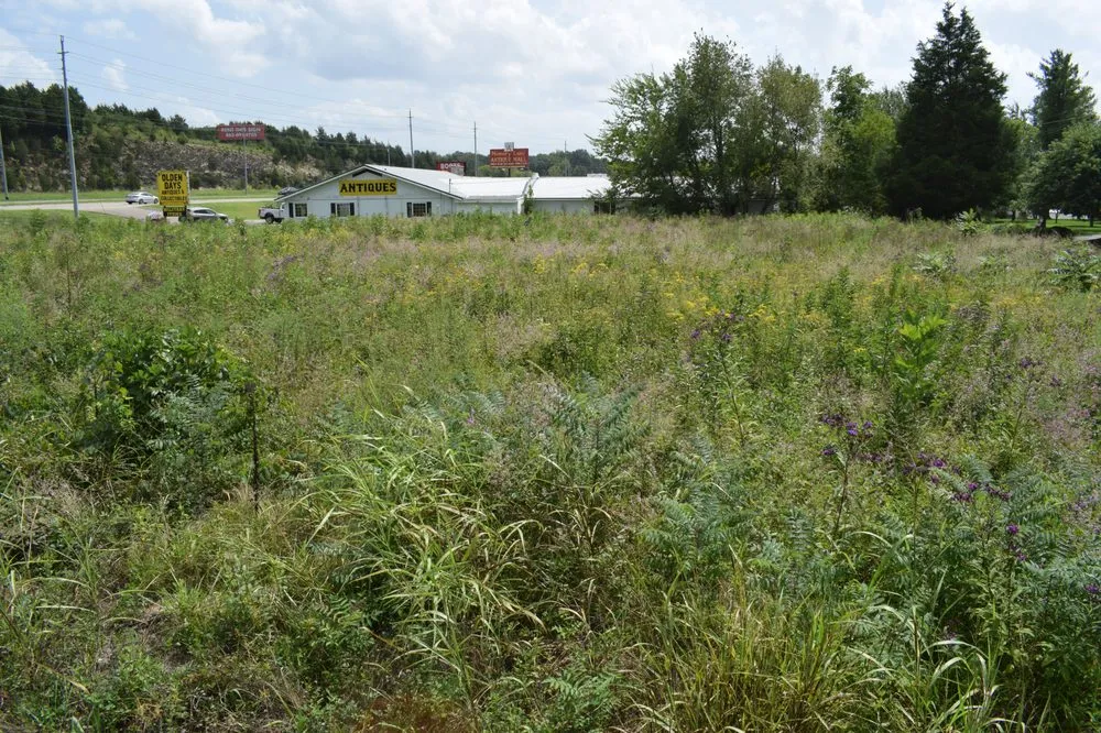 Affordable lawn care service experts serving Spring Hill, TN - All Terrain Land Clearing and Brush Control