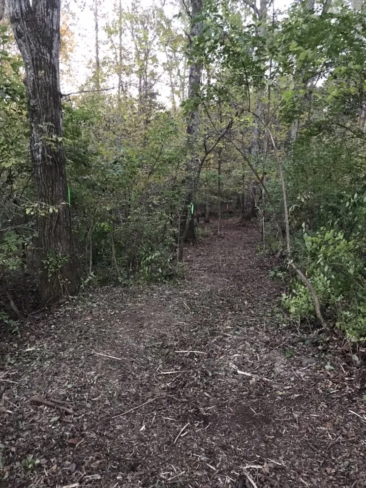 Trusted outdoor landscaping in Spring Hill, TN by All Terrain Land Clearing and Brush Control