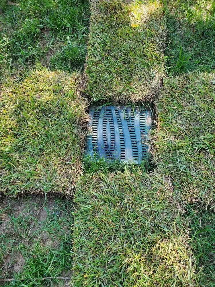 Trusted yard cleanup service for residential properties across Metairie, LA - All Terrain Landscape and Irrigation