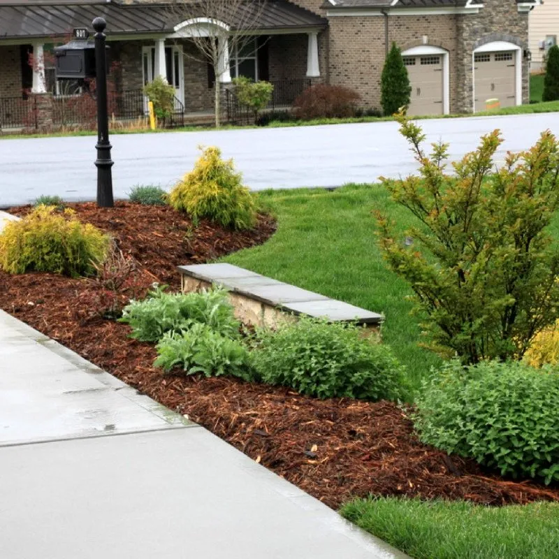 Top-rated lawn care service in Monument, CO by All Terrain Landscape Maintenance
