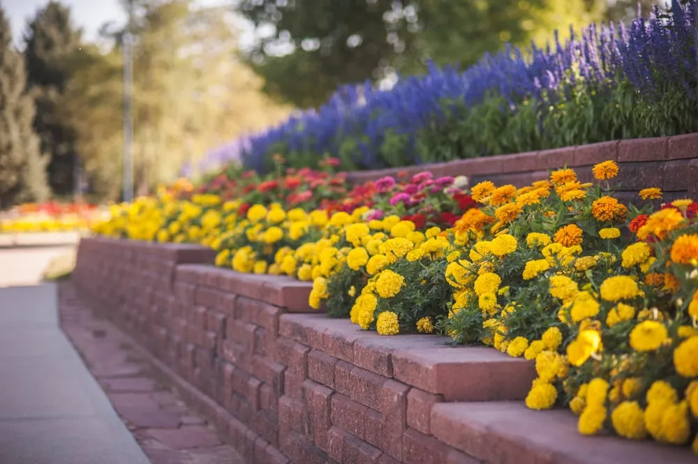 Reliable lawn mowing service with custom design across Fort Collins, CO - All Terrain Landscaping - Fort Collins