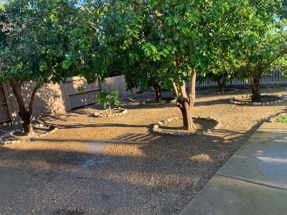 Professional lawn care service for beautiful yards in Escondido, CA by All Terrain Landscaping & Design