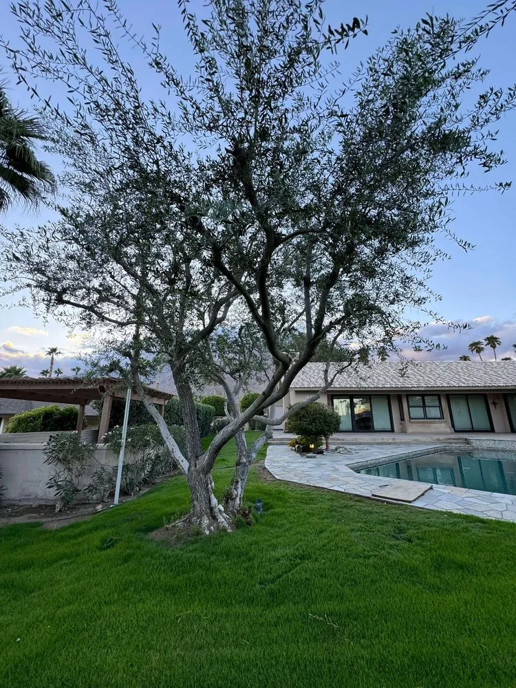 Affordable landscaping services in Escondido, CA - All Terrain Landscaping & Design