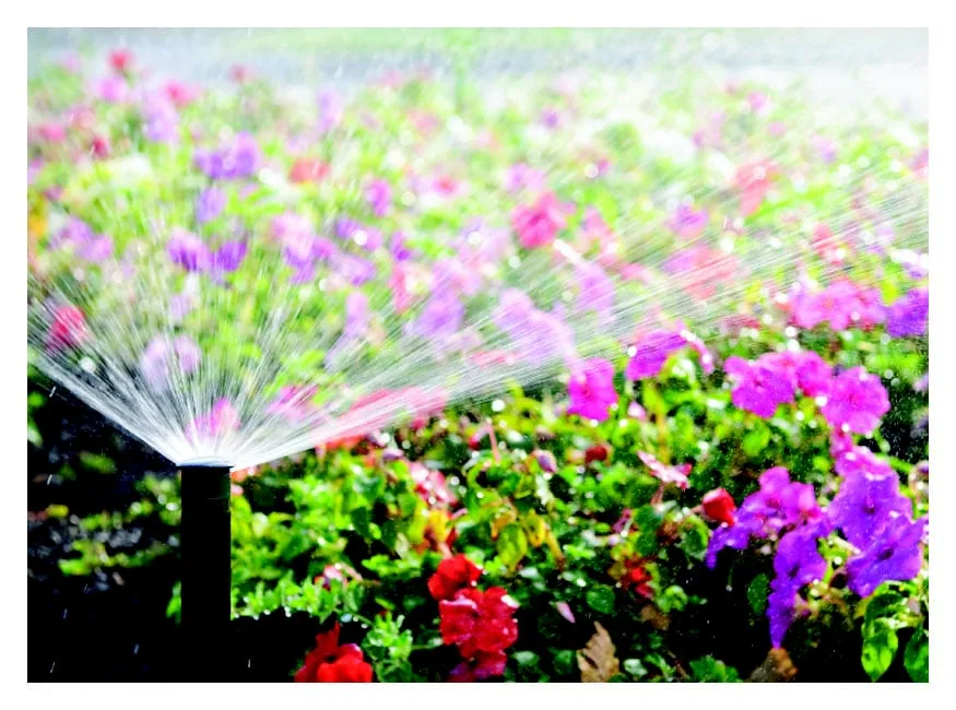 Expert landscaping services for outdoor upgrades across Greeley, CO - All Terrain Landscaping