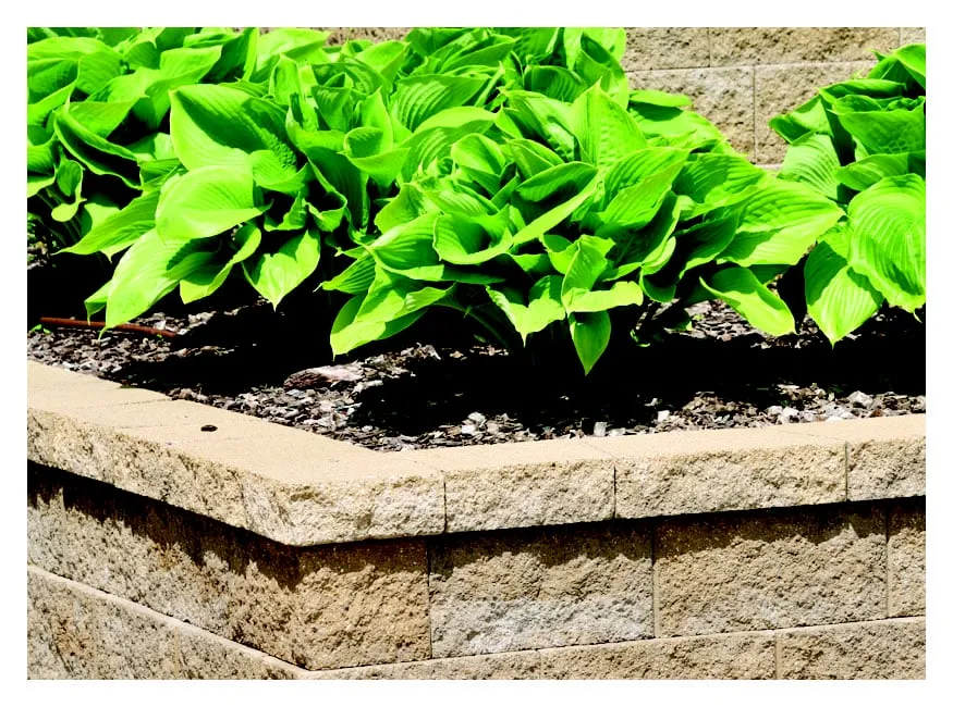 Reliable outdoor landscaping for outdoor upgrades across Greeley, CO - All Terrain Landscaping