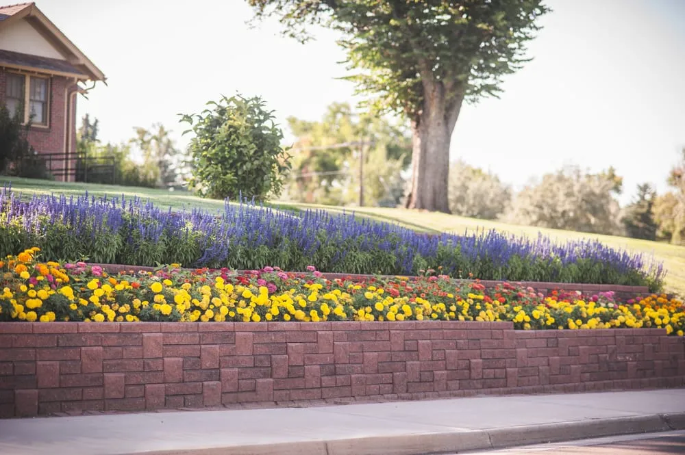 Local landscape design experts serving Greeley, CO - All Terrain Landscaping