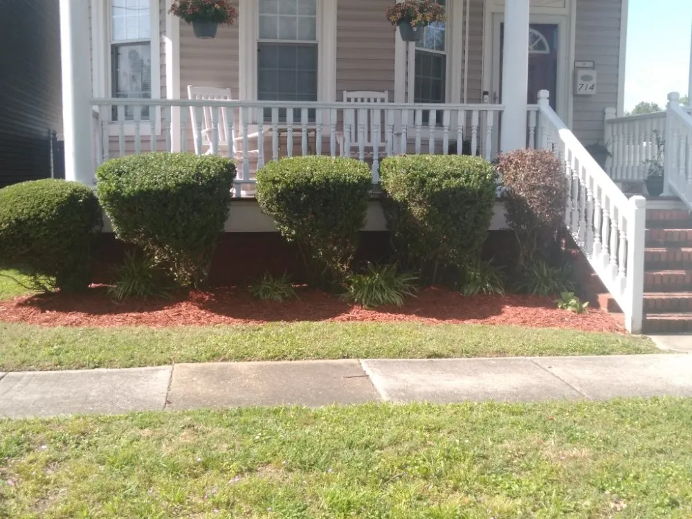 Top-rated lawn care service experts serving Norfolk, VA - All Terrain Landscaping