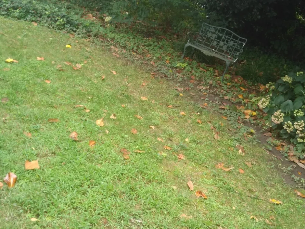 Professional residential landscaping experts serving Norfolk, VA - All Terrain Landscaping