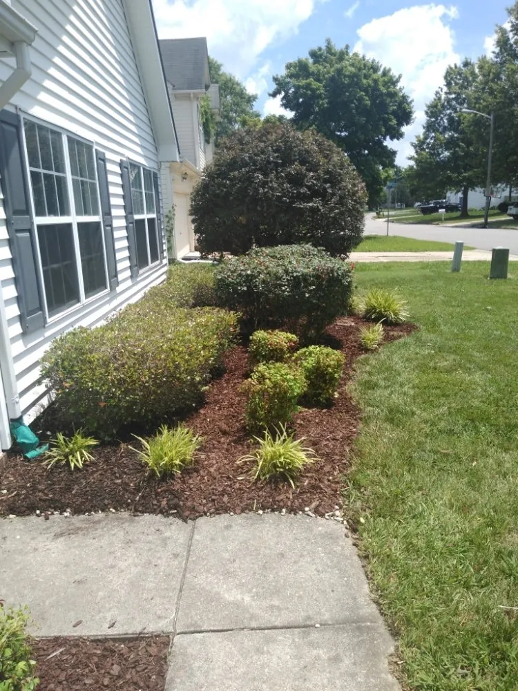 Expert lawn mowing service in Norfolk, VA - All Terrain Landscaping