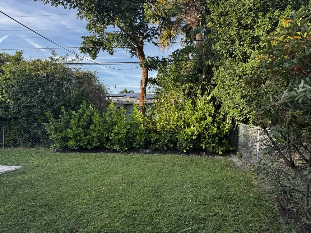 Professional landscaping services experts serving Parkland, FL - All Terrain Landscaping