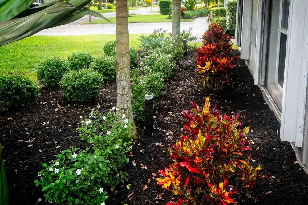 Trusted landscape installation in Parkland, FL - All Terrain Landscaping