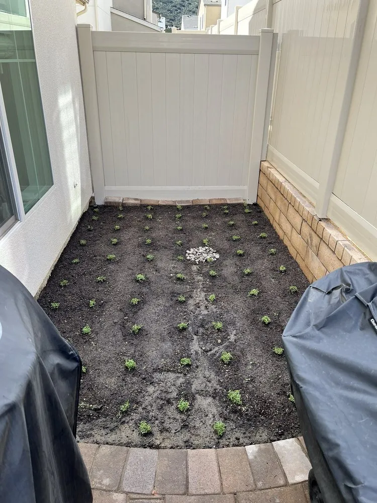 Reliable lawn mowing service in Perris, CA by All Terrain Landscaping