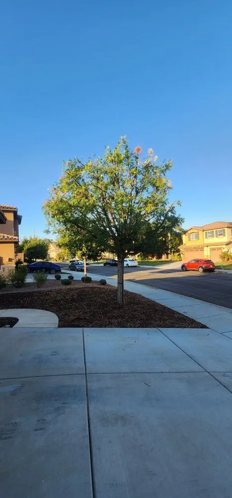 Top-rated yard maintenance in Perris, CA by All Terrain Landscaping