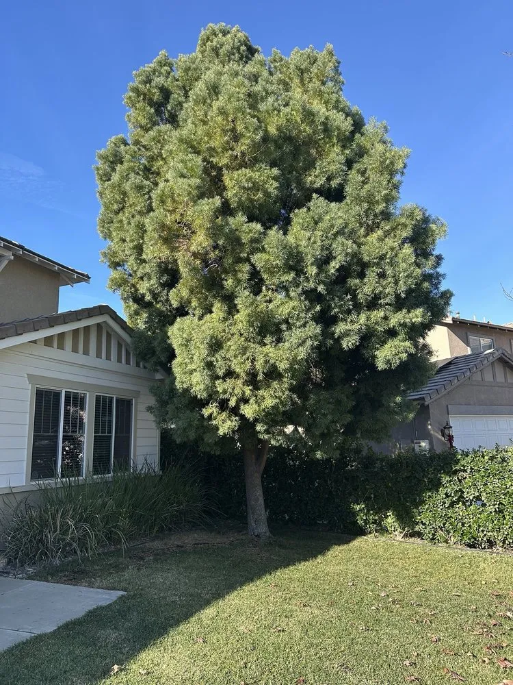 Reliable landscape installation with custom design across Perris, CA - All Terrain Landscaping