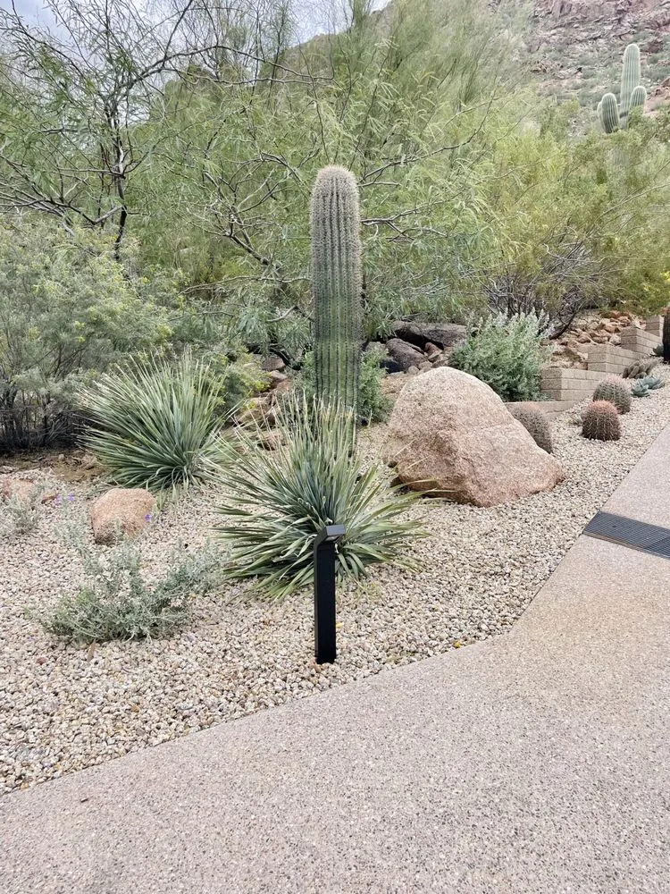 Top-rated landscape installation experts serving Phoenix, AZ - All Terrain Landscaping