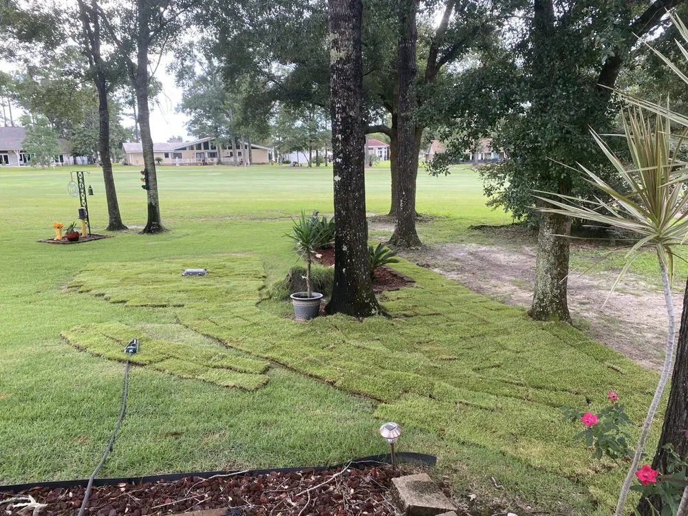 Top-rated yard cleanup service in Wiggins, MS by All Terrain Landscaping