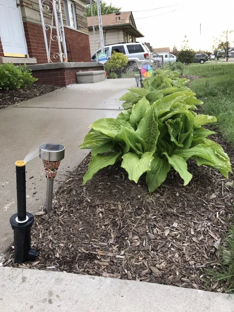 Expert yard cleanup service for year-round maintenance in Roseville, MI by All Terrain Maintenance