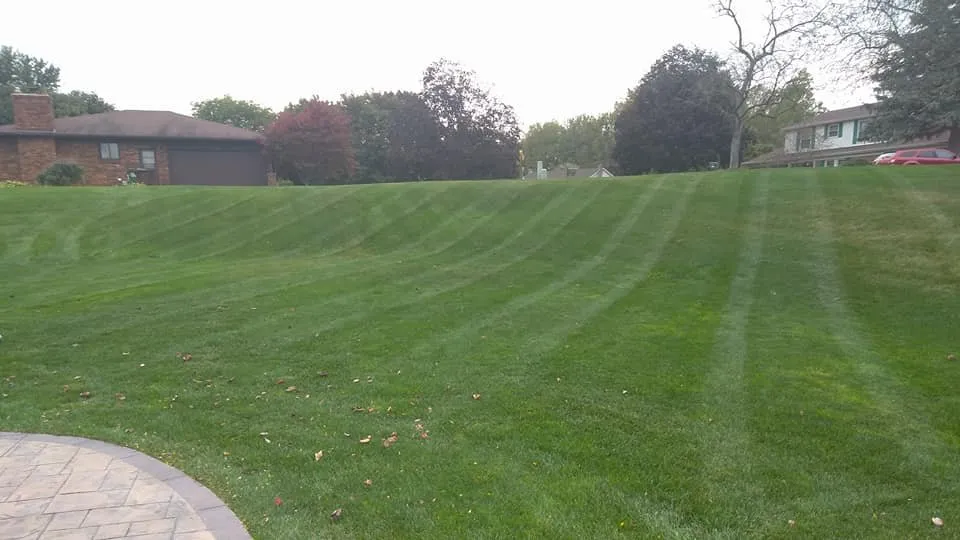 Reliable landscaping services for year-round maintenance in Roseville, MI by All Terrain Maintenance