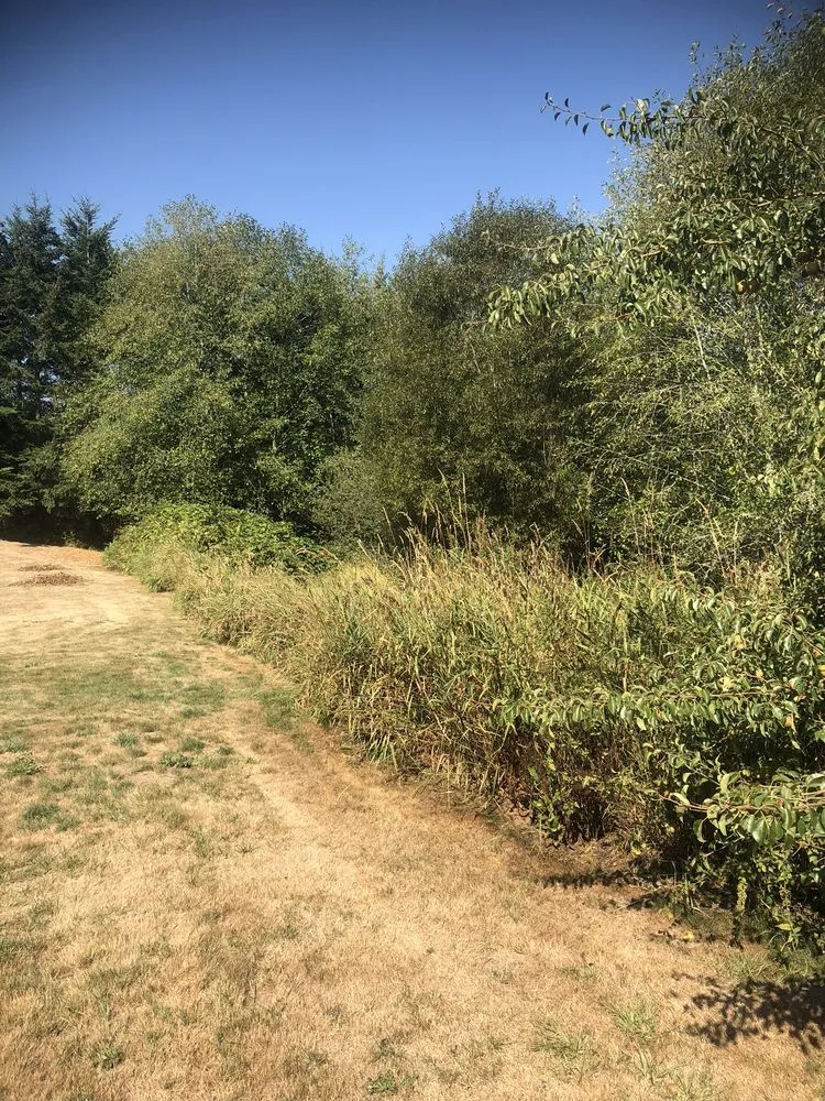 Local yard cleanup service with custom design in Belfair, WA by All Terrain Mowing