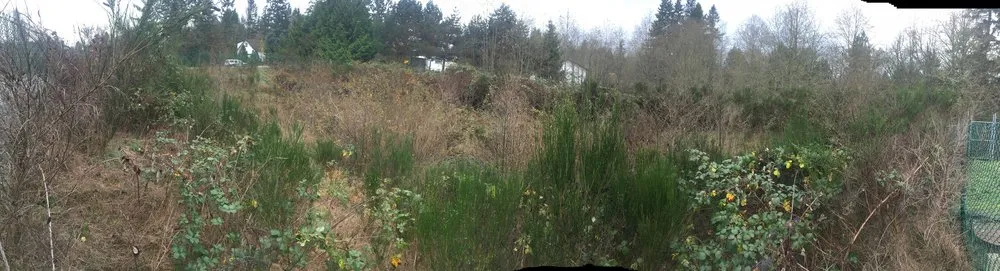 Expert landscape installation for beautiful yards in Belfair, WA by All Terrain Mowing