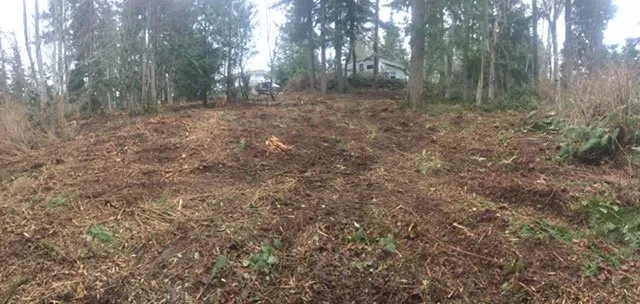 Trusted landscaping services for homes across Belfair, WA - All Terrain Mowing