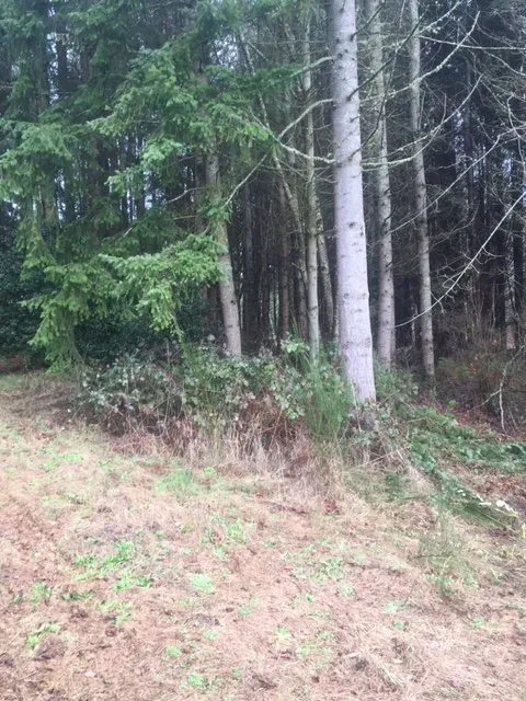 Professional yard cleanup service with custom design across Belfair, WA - All Terrain Mowing