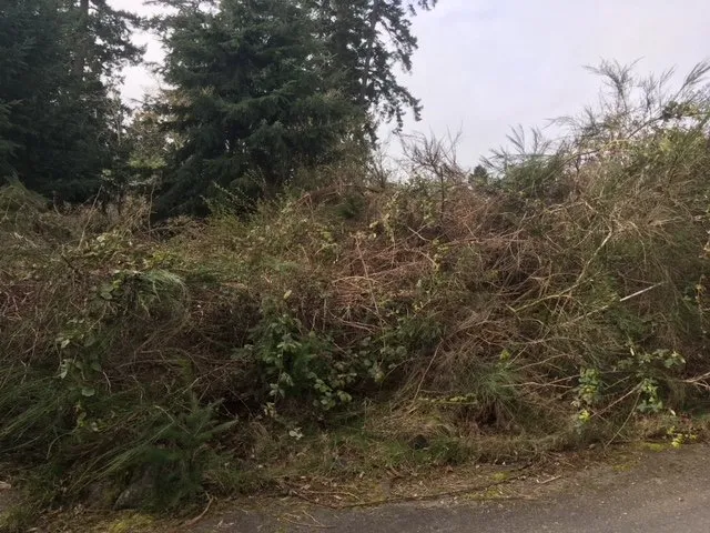 Reliable landscape design near you in Belfair, WA by All Terrain Mowing