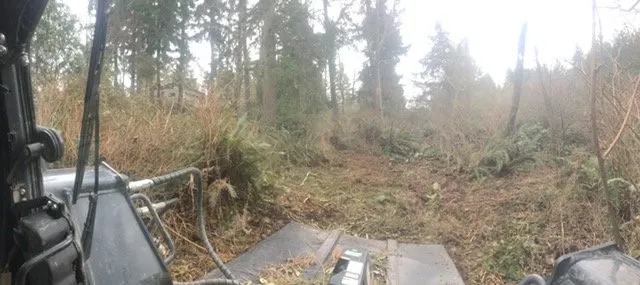 Affordable residential landscaping in Belfair, WA - All Terrain Mowing