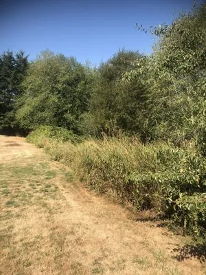 All Terrain Mowing Logo