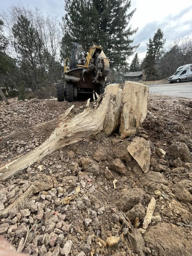 Local yard maintenance in Cañon City, CO by All Terrain Stump