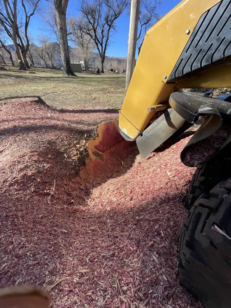 Expert landscape installation near you in Cañon City, CO by All Terrain Stump