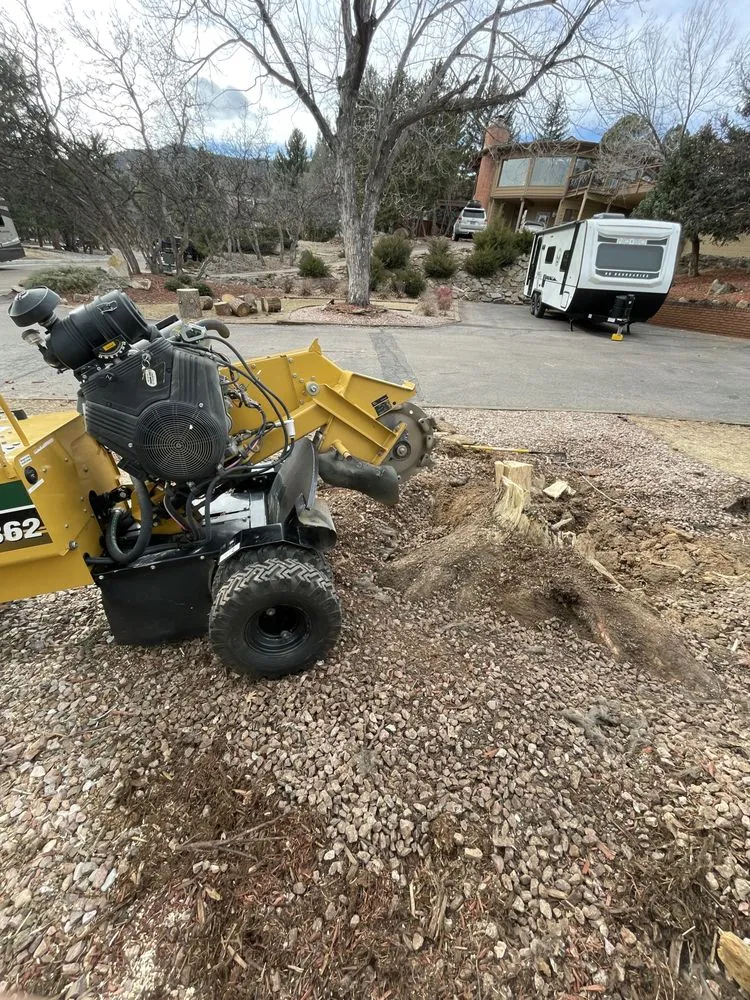 Top-rated yard cleanup service in Cañon City, CO - All Terrain Stump