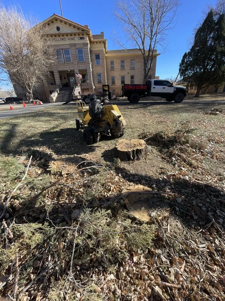 Custom yard maintenance in Cañon City, CO by All Terrain Stump