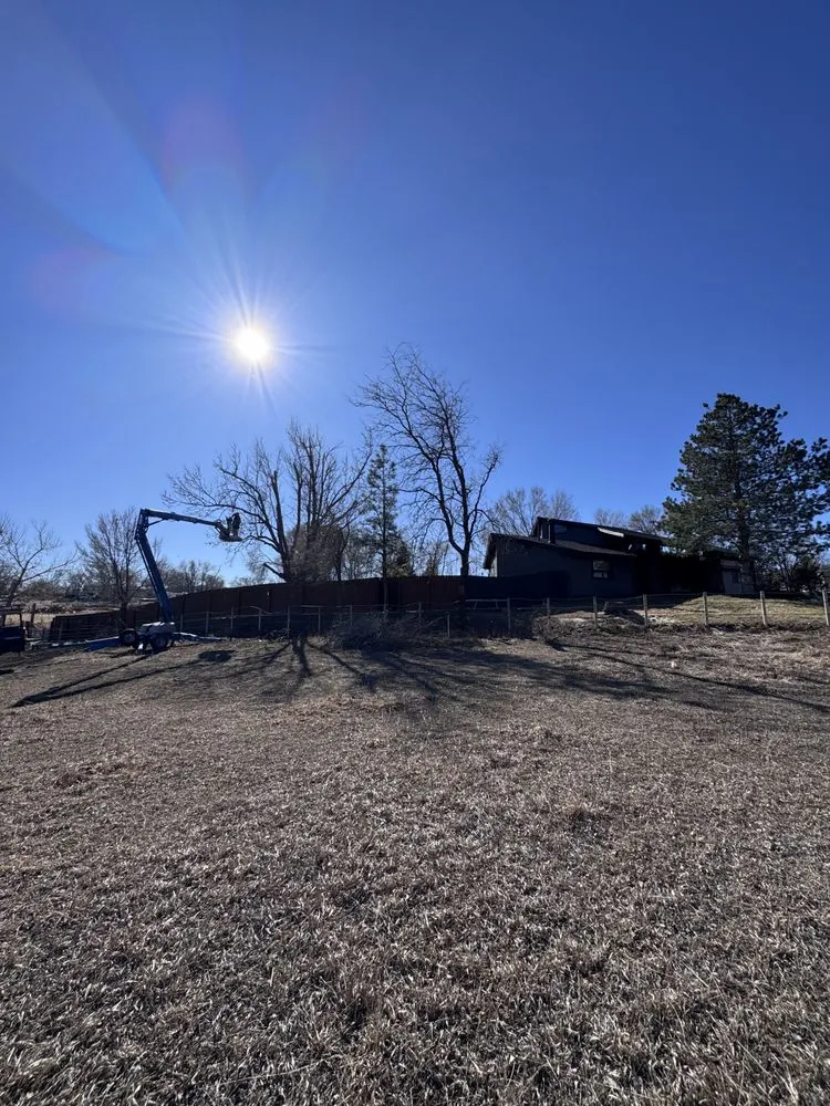 Local landscape installation in Cañon City, CO - All Terrain Stump
