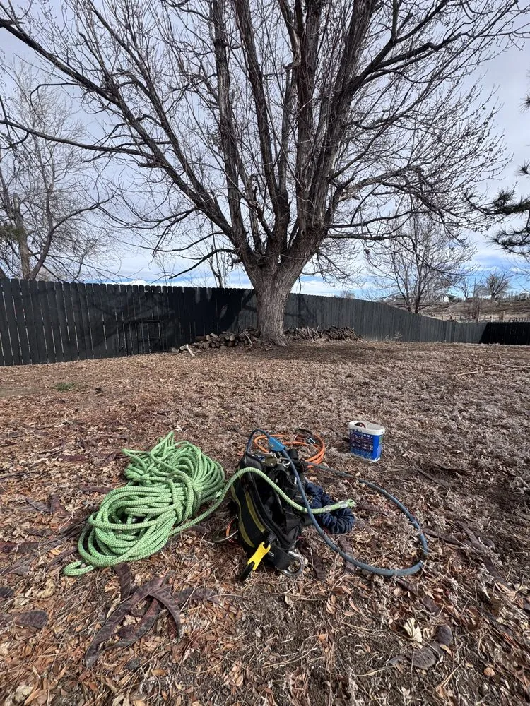 Expert landscape design experts serving Cañon City, CO - All Terrain Stump