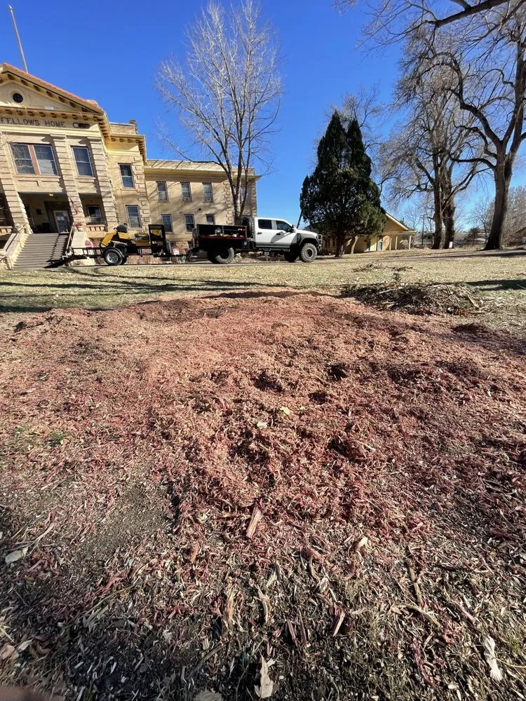 Local residential landscaping in Cañon City, CO - All Terrain Stump