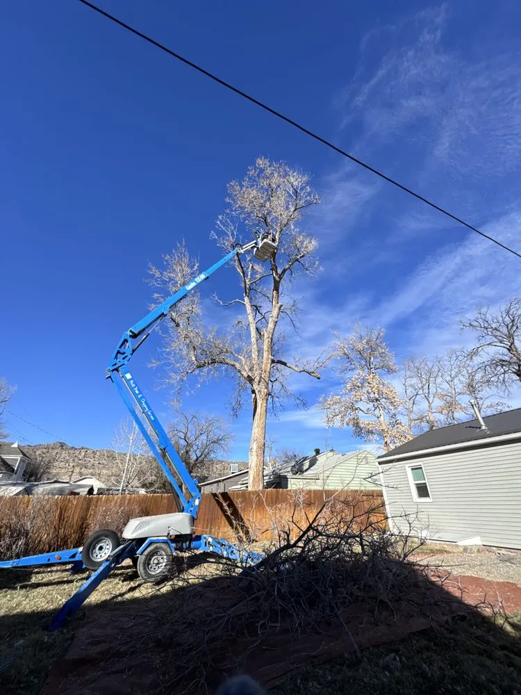 Reliable residential landscaping in Cañon City, CO - All Terrain Stump
