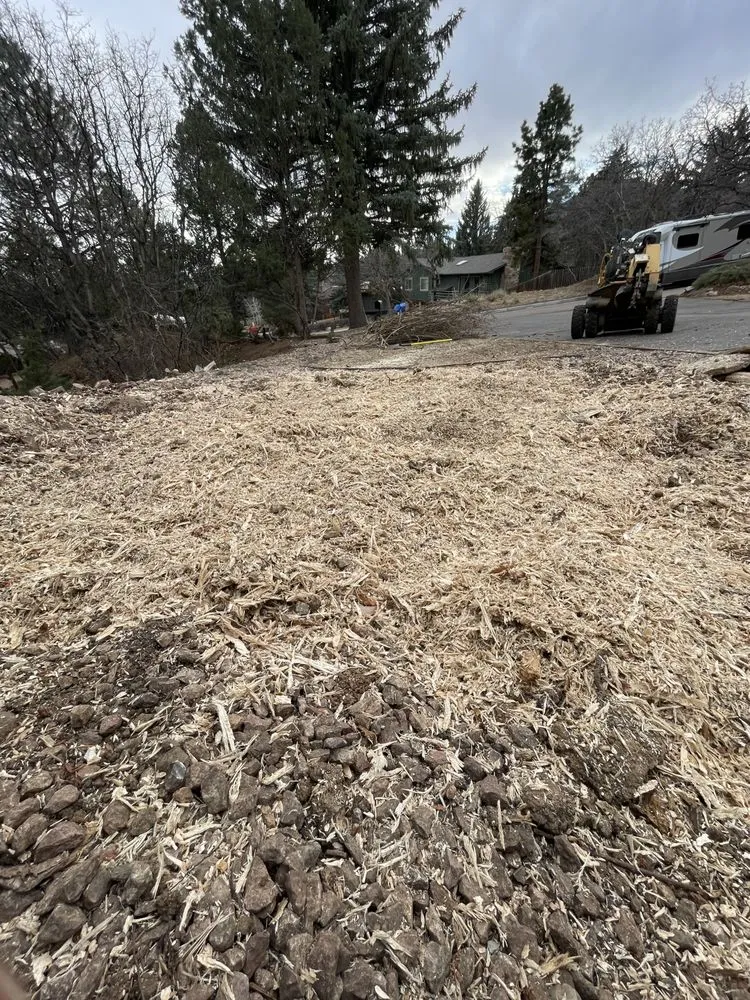 Top-rated outdoor landscaping for residential properties in Cañon City, CO by All Terrain Stump