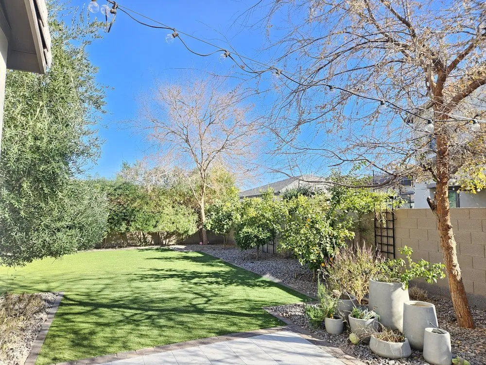 Custom yard cleanup service for residential properties across Phoenix, AZ - All-Terrain Titans